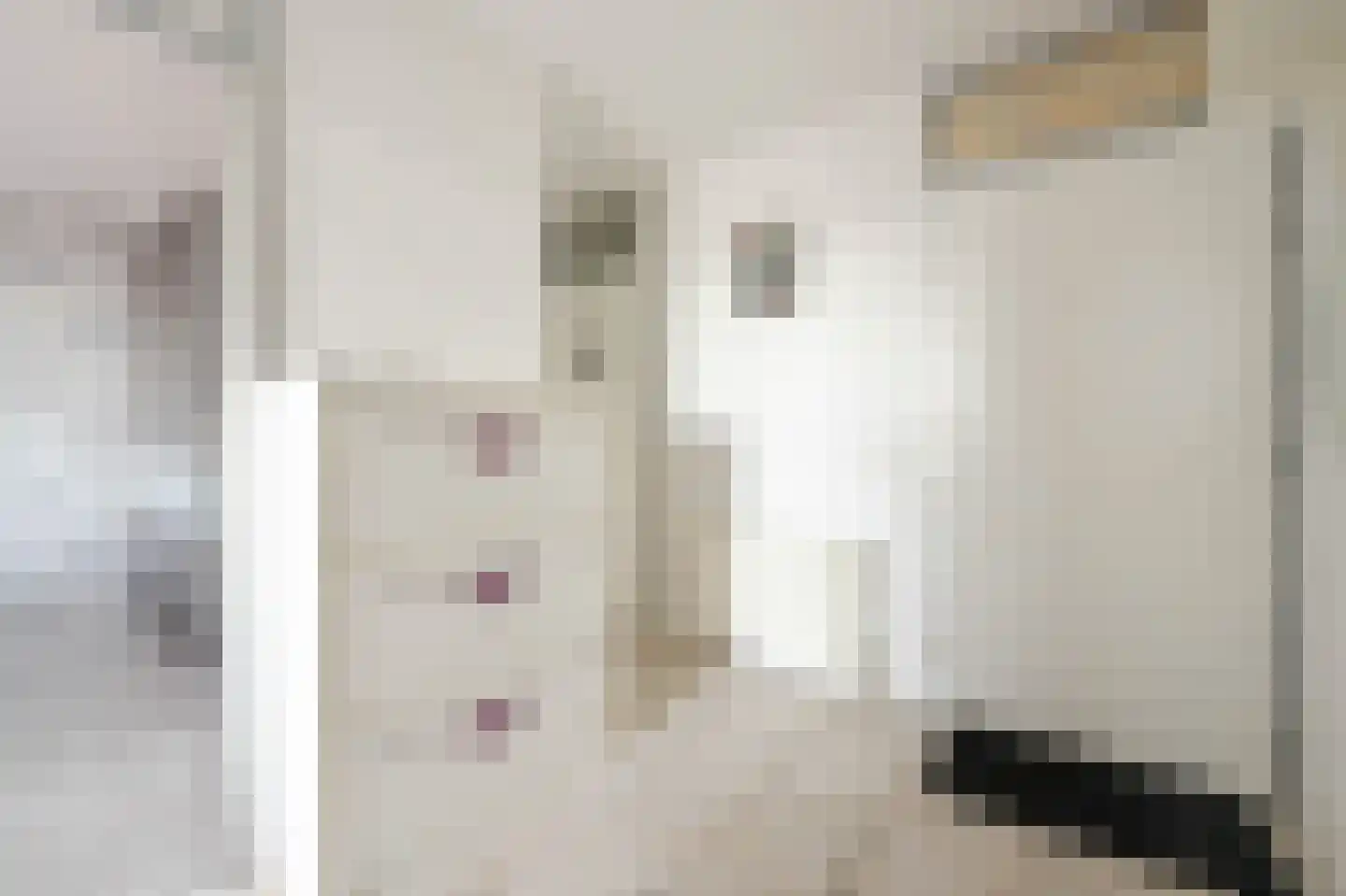 Strevelsweg 986 Rotterdam thumbnail 8