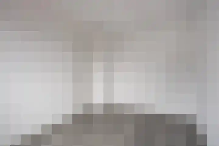 Striboshof 9 Budel-Schoot thumbnail 24