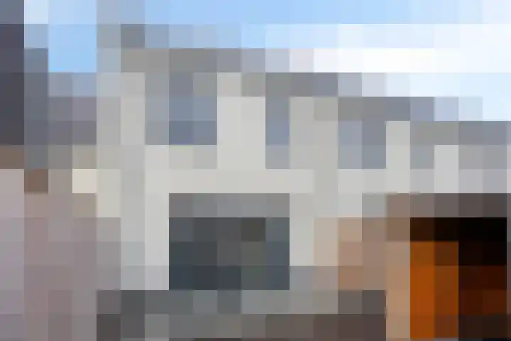 Striboshof 9 Budel-Schoot thumbnail 36