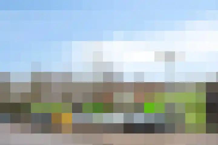 Striboshof 9 Budel-Schoot thumbnail 39