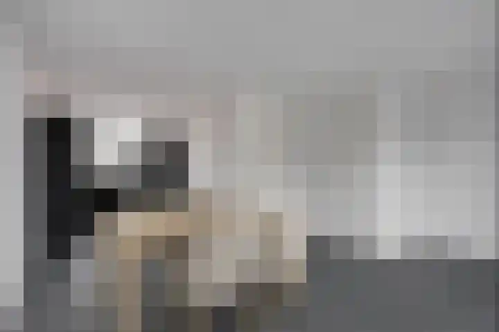 Striboshof 9 Budel-Schoot thumbnail 7