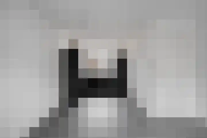 Striboshof 9 Budel-Schoot thumbnail 8