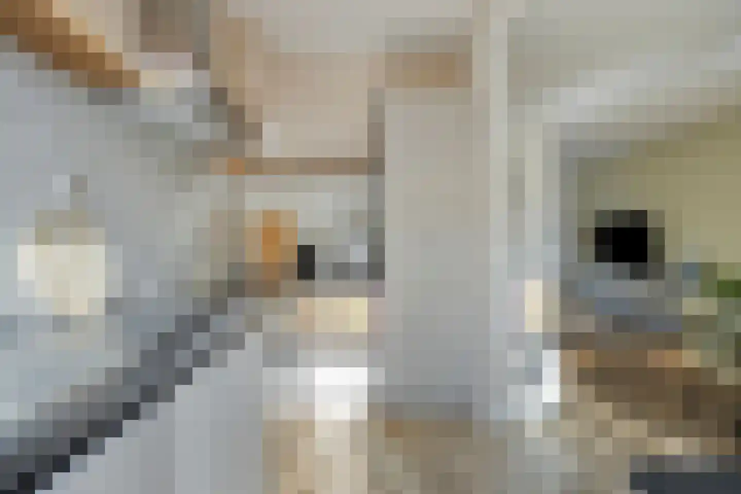 Strick van Linschotenstraat 28 Beverwijk thumbnail 10