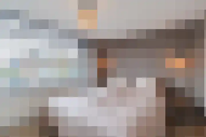 Strick van Linschotenstraat 71 Linschoten thumbnail 24