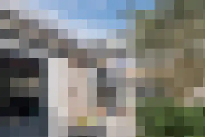 Strick van Linschotenstraat 71 Linschoten thumbnail 50