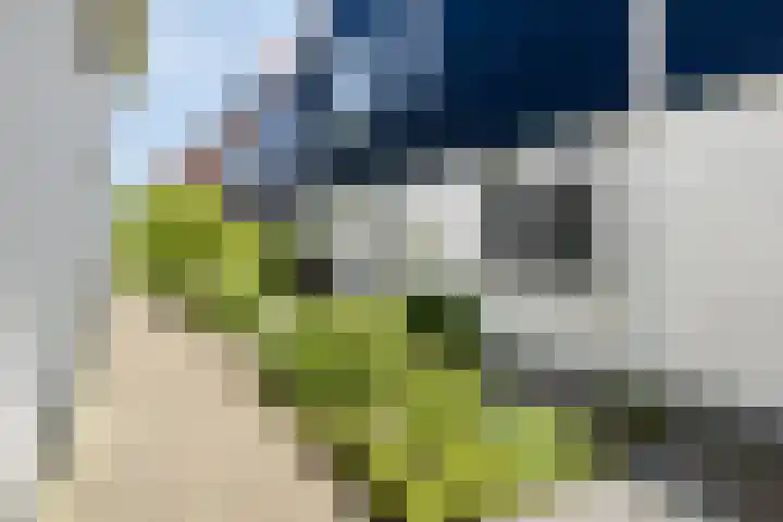 Strick van Linschotenstraat 79 Linschoten thumbnail 4