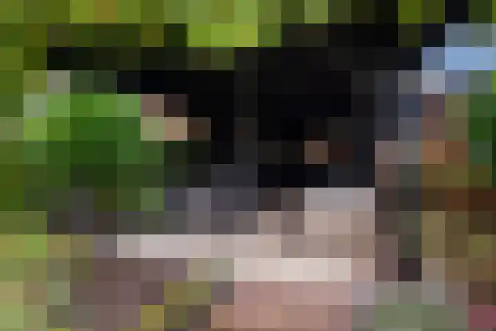 Strick van Linschotenstraat 92 Linschoten thumbnail 15
