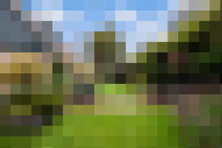 Strick van Linschotenstraat 92 Linschoten thumbnail 17