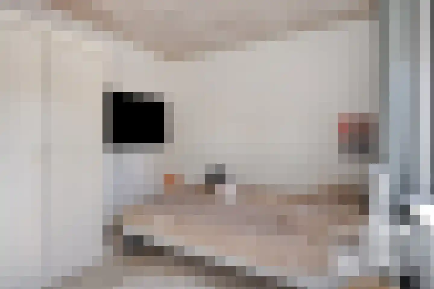 Stricklaan 1 Heesch thumbnail 31