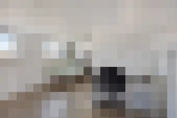 Stricklaan 1 Heesch thumbnail 36