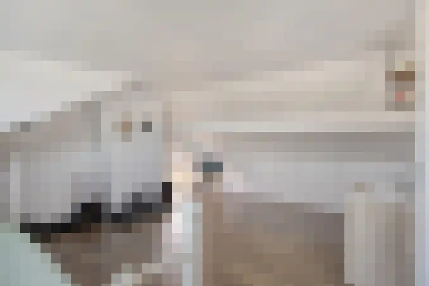 Stricklaan 1 Heesch thumbnail 37