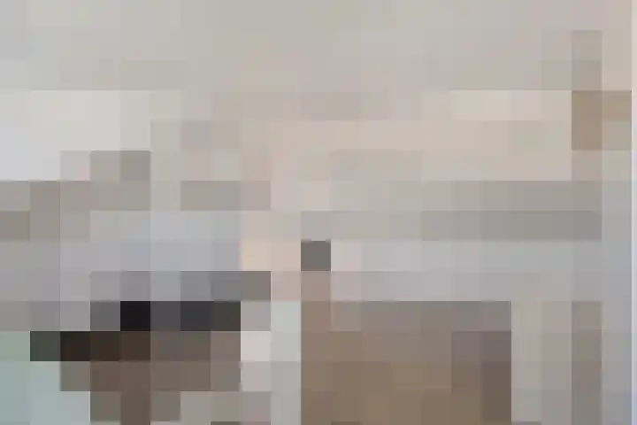 Stricklaan 1 Heesch thumbnail 37
