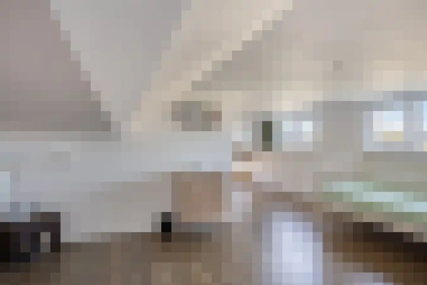 Stricklaan 1 Heesch thumbnail 38