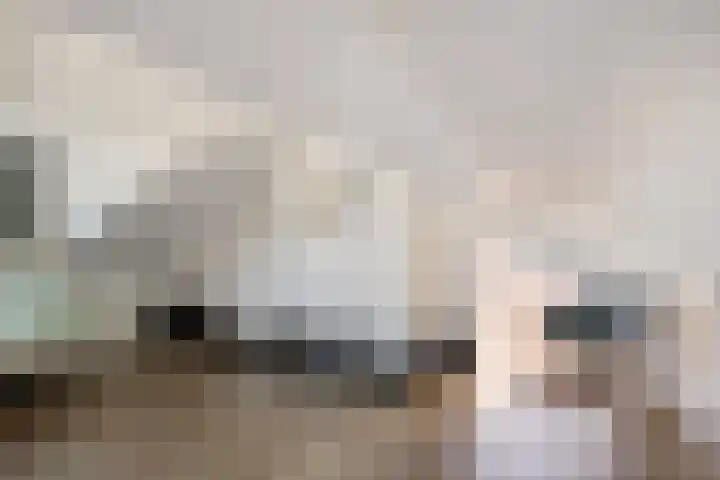 Stricklaan 1 Heesch thumbnail 39