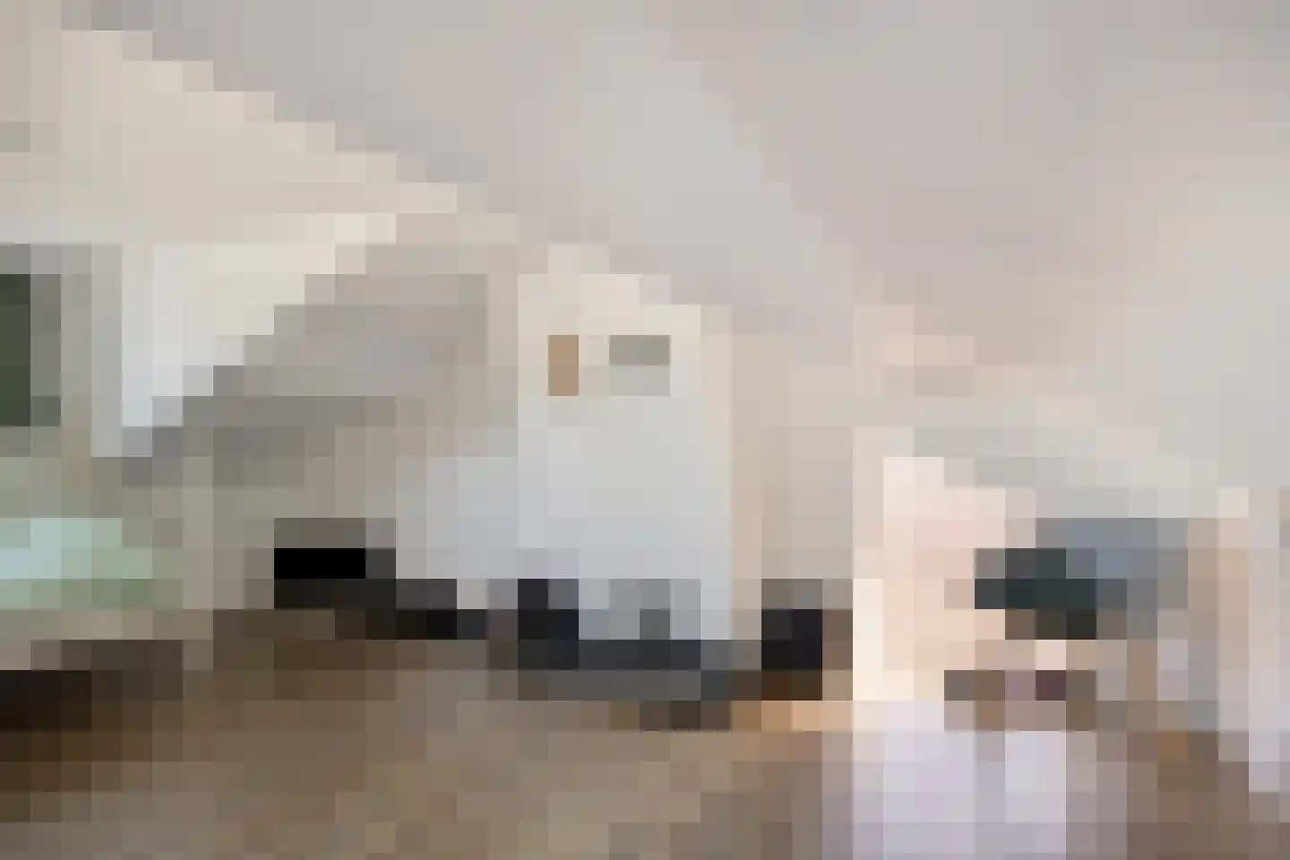 Stricklaan 1 Heesch thumbnail 39