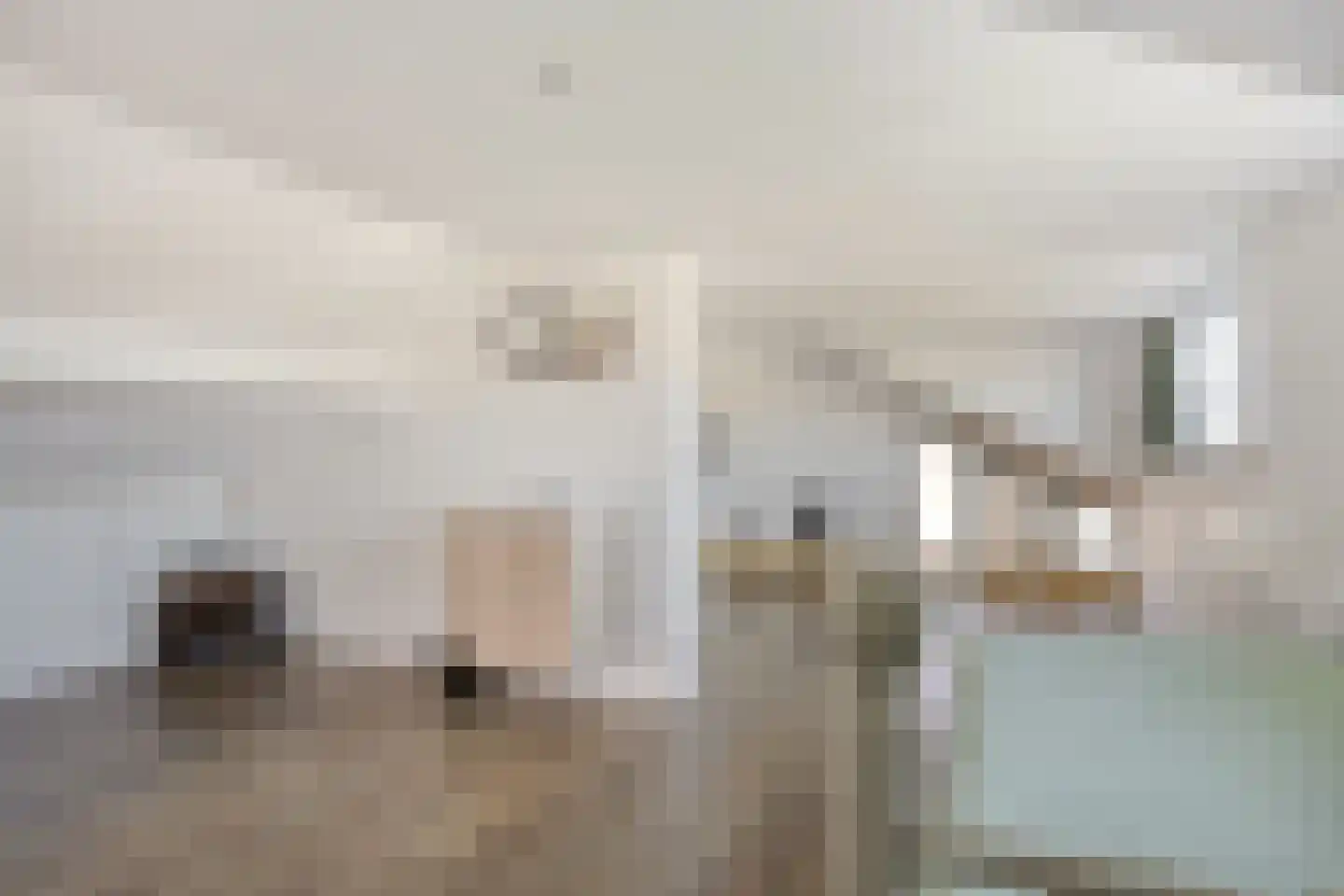 Stricklaan 1 Heesch thumbnail 40