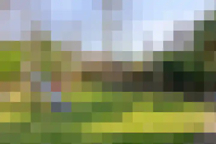 Stricklaan 1 Heesch thumbnail 44