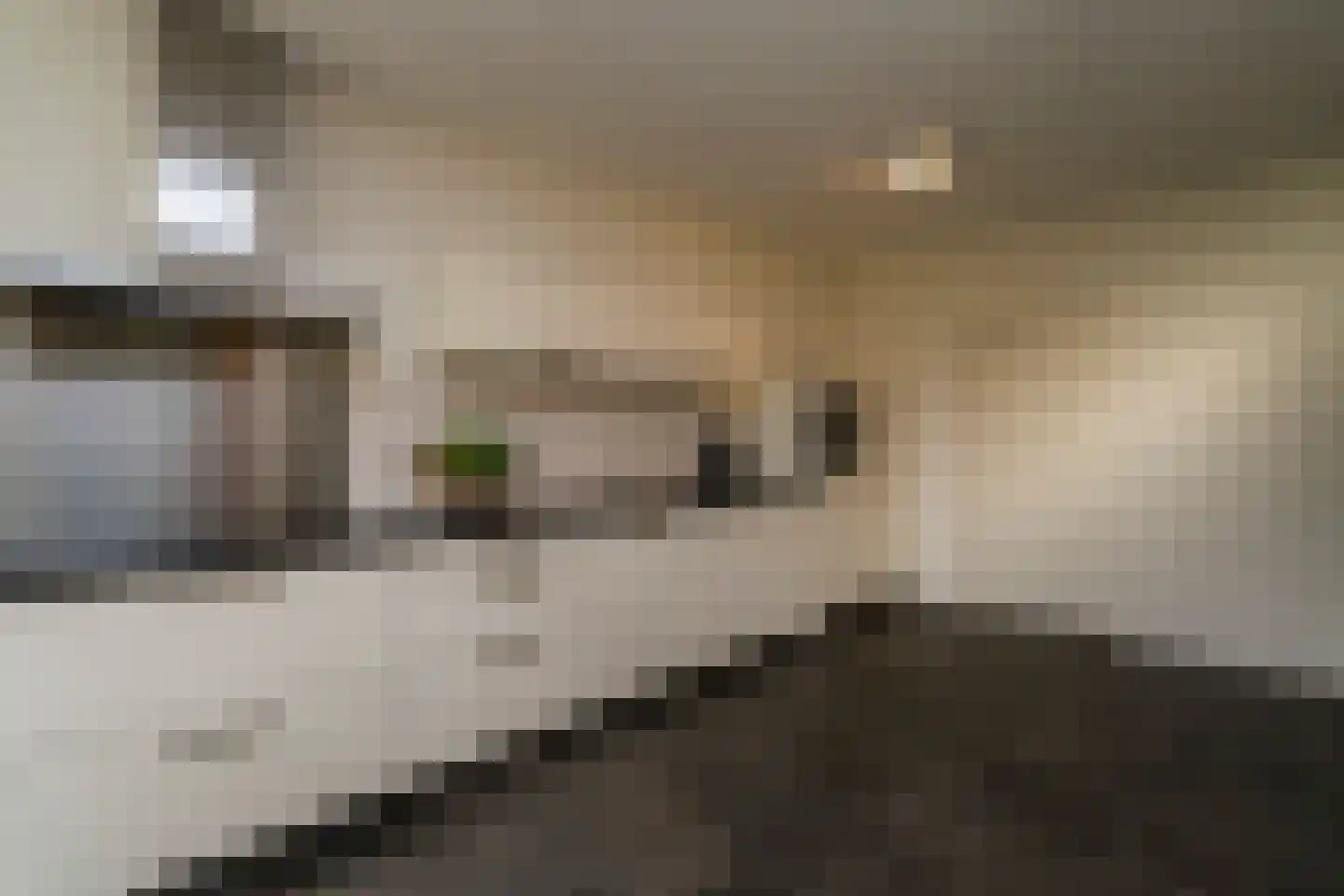 Strieckenlaan 1 Loon op Zand thumbnail 17
