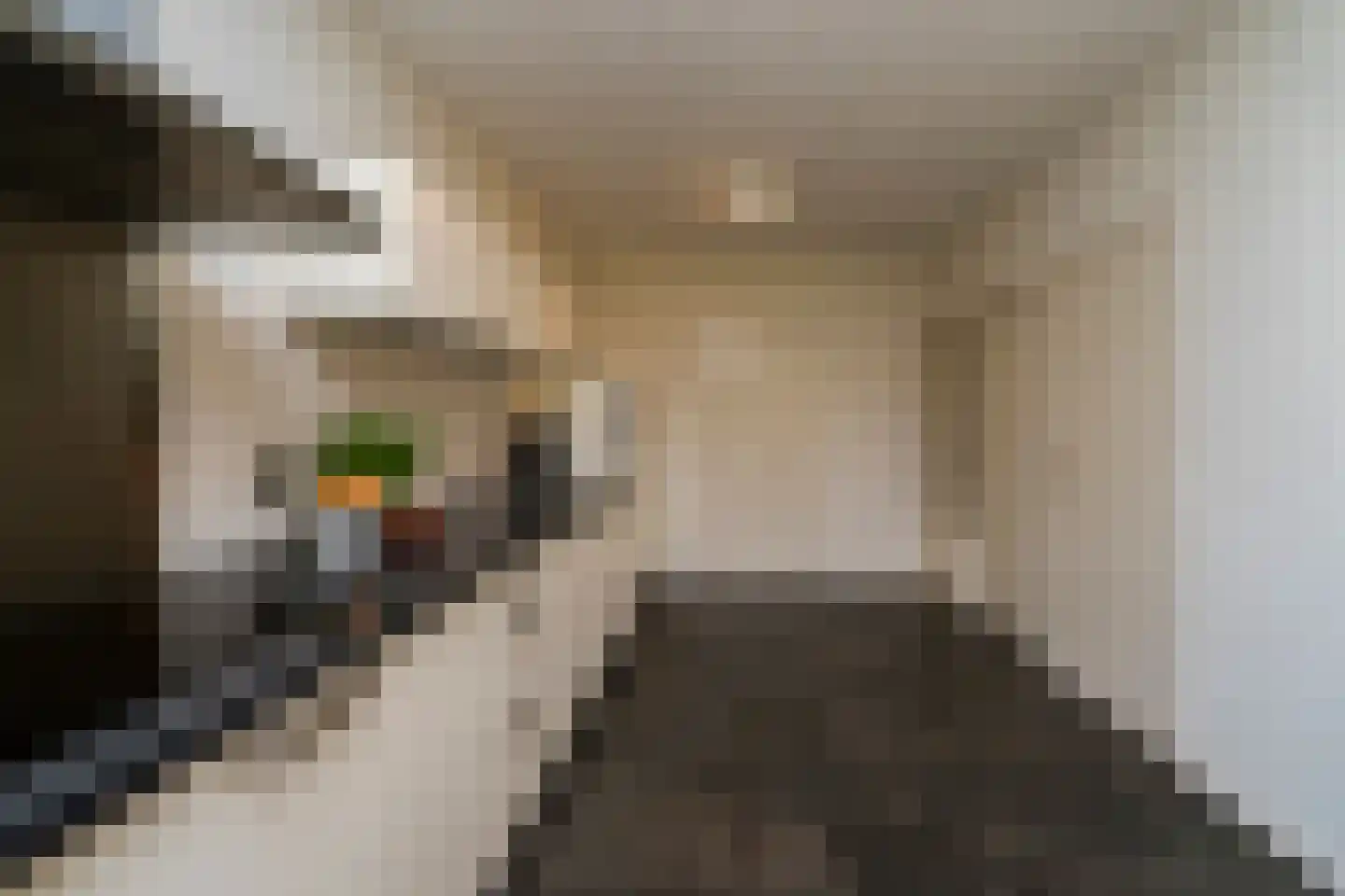 Strieckenlaan 1 Loon op Zand thumbnail 18