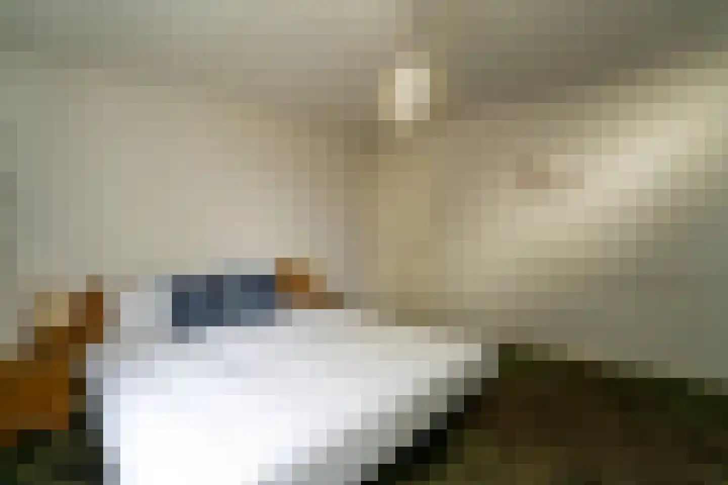 Strieckenlaan 1 Loon op Zand thumbnail 33