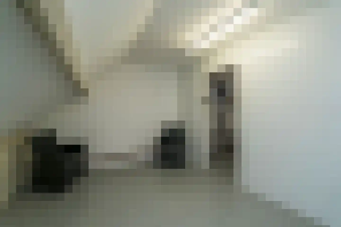 Strieckenlaan 1 Loon op Zand thumbnail 45