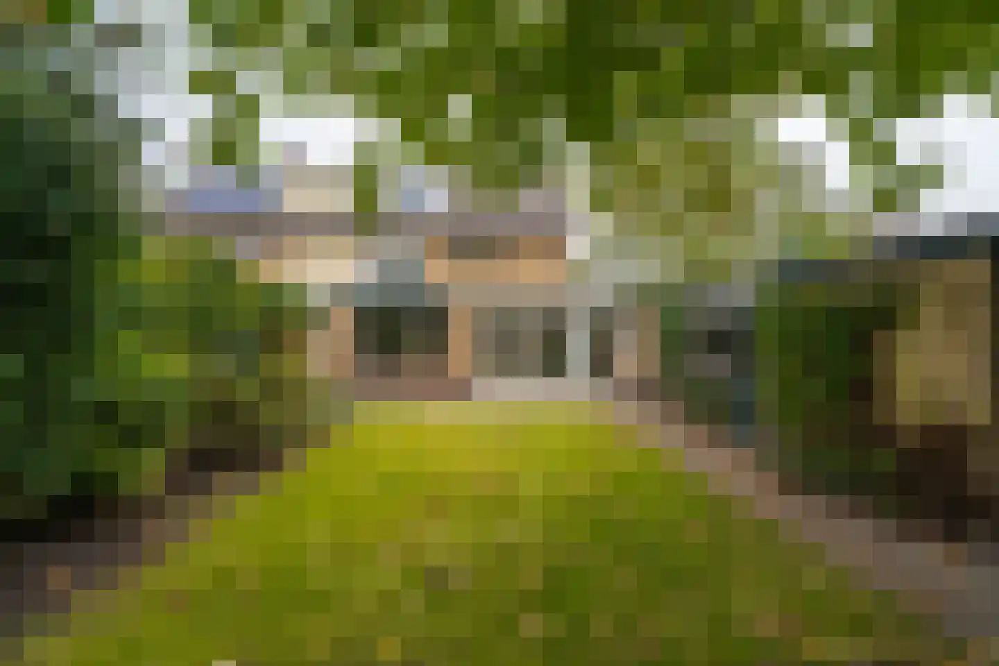 Strieckenlaan 1 Loon op Zand thumbnail 49