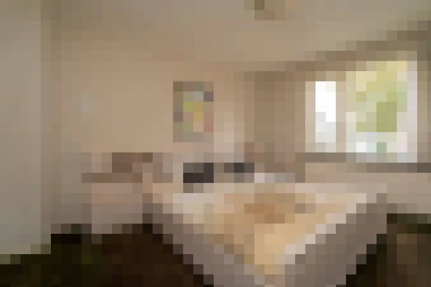 Strieckenlaan 1 Loon op Zand thumbnail 5