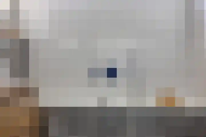 Strielandsebeek 10 Zwolle thumbnail 25