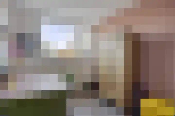 Strielandsebeek 10 Zwolle thumbnail 27