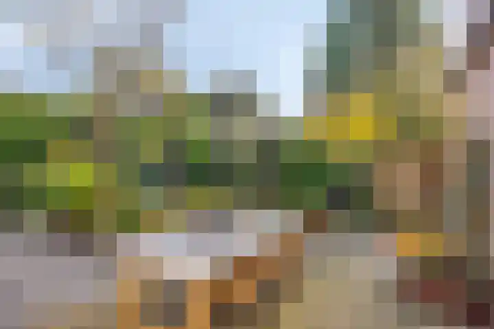 Strielandsebeek 10 Zwolle thumbnail 34