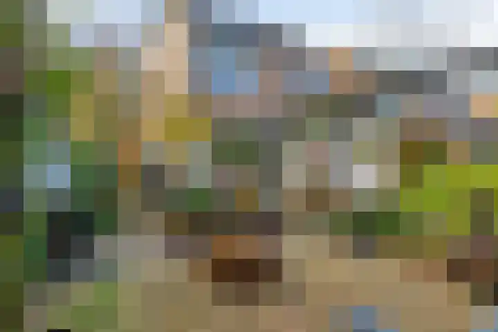 Strielandsebeek 10 Zwolle thumbnail 35