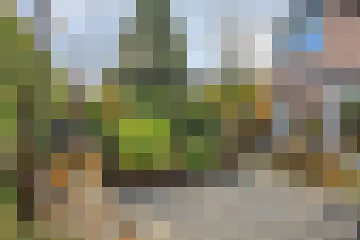 Strielandsebeek 10 Zwolle thumbnail 36