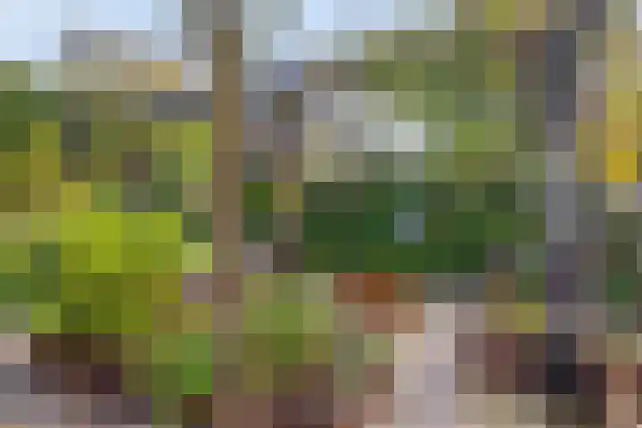 Strielandsebeek 10 Zwolle thumbnail 37