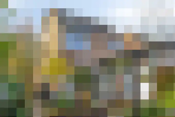 Strielandsebeek 10 Zwolle thumbnail 38