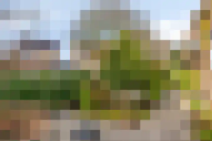 Strielandsebeek 10 Zwolle thumbnail 39