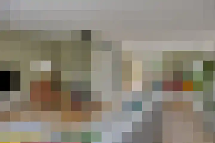 Strielandsebeek 10 Zwolle thumbnail 4