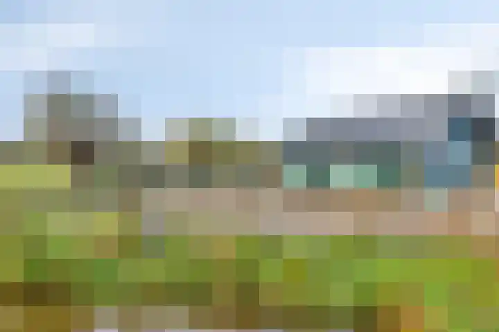 Strielandsebeek 10 Zwolle thumbnail 44