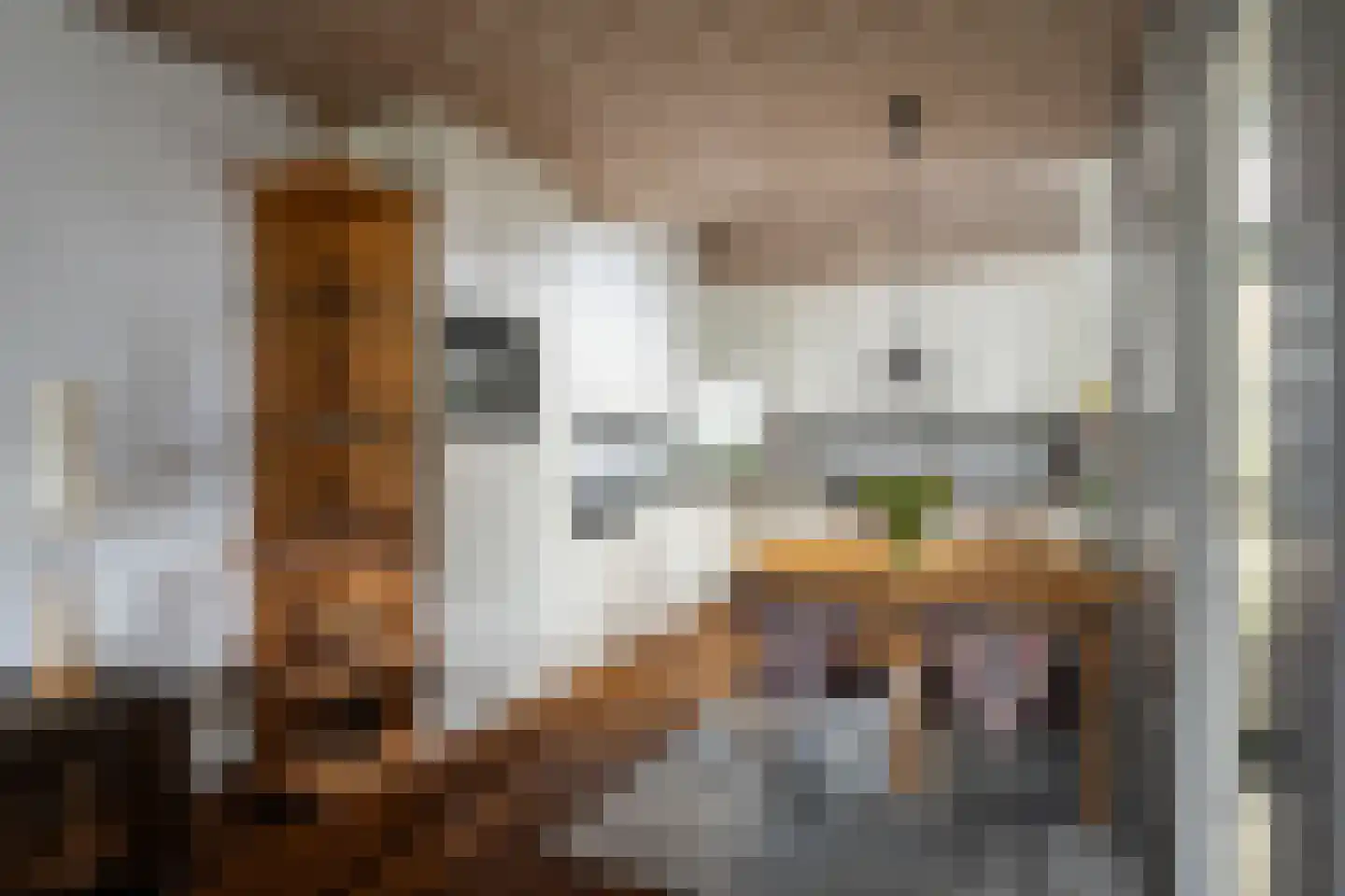 Strienemonde 31 Oud-Beijerland thumbnail 13