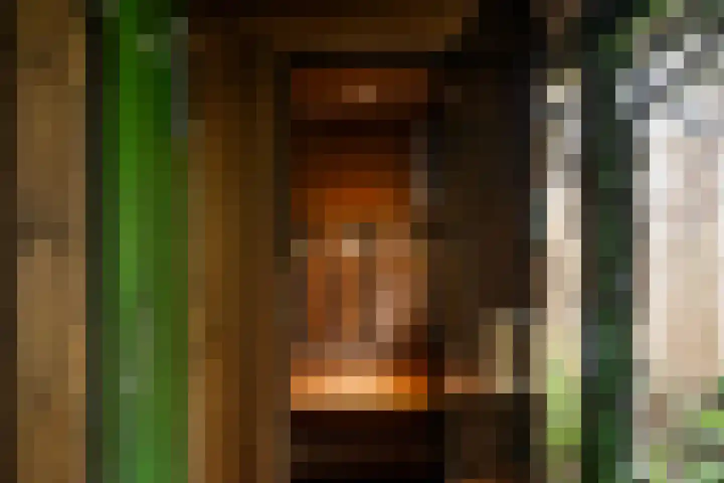 Strienemonde 31 Oud-Beijerland thumbnail 29