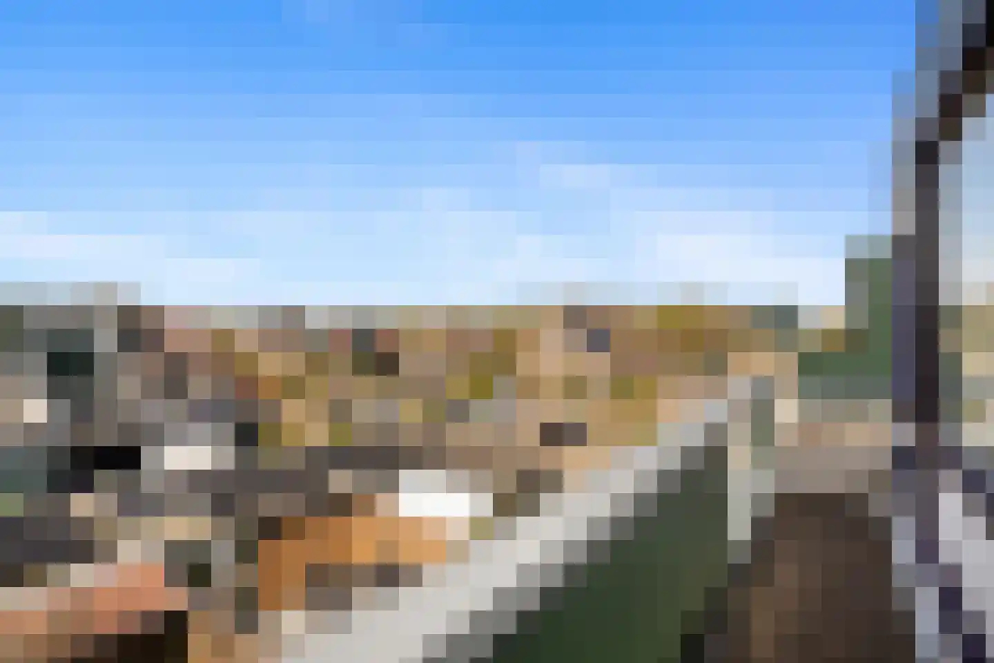 Strienemonde 31 Oud-Beijerland thumbnail 30