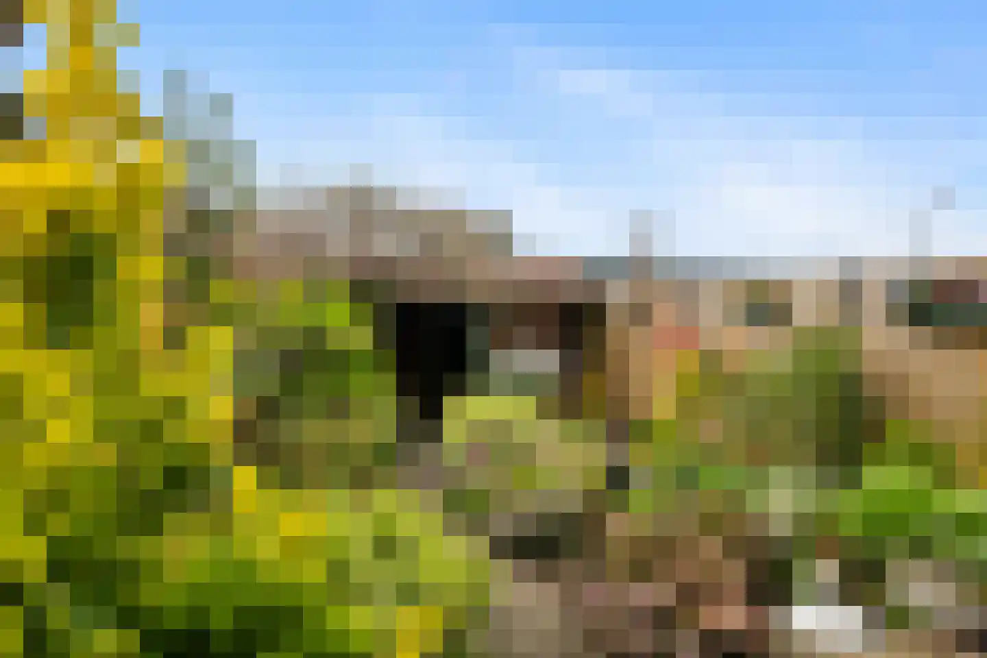 Strienemonde 31 Oud-Beijerland thumbnail 33