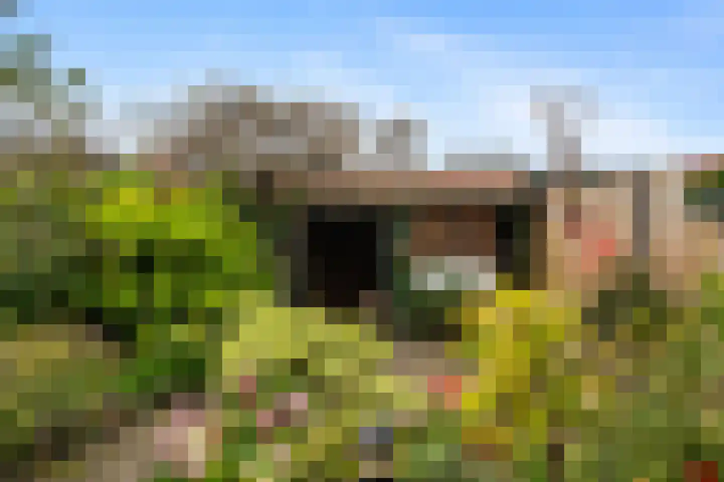 Strienemonde 31 Oud-Beijerland thumbnail 34