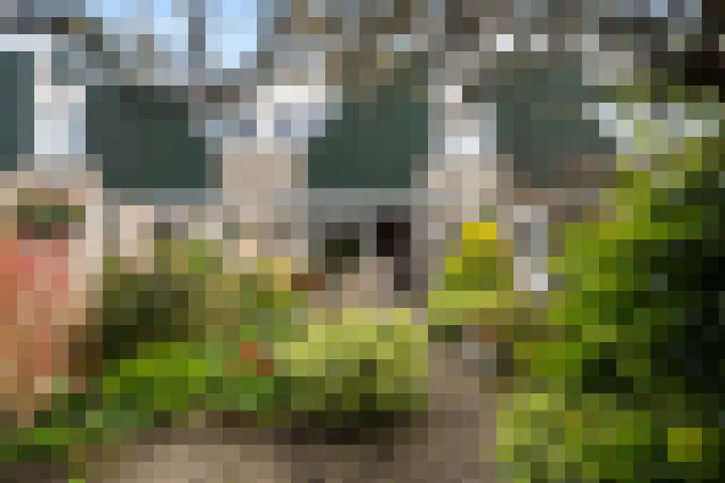 Strienemonde 31 Oud-Beijerland thumbnail 35