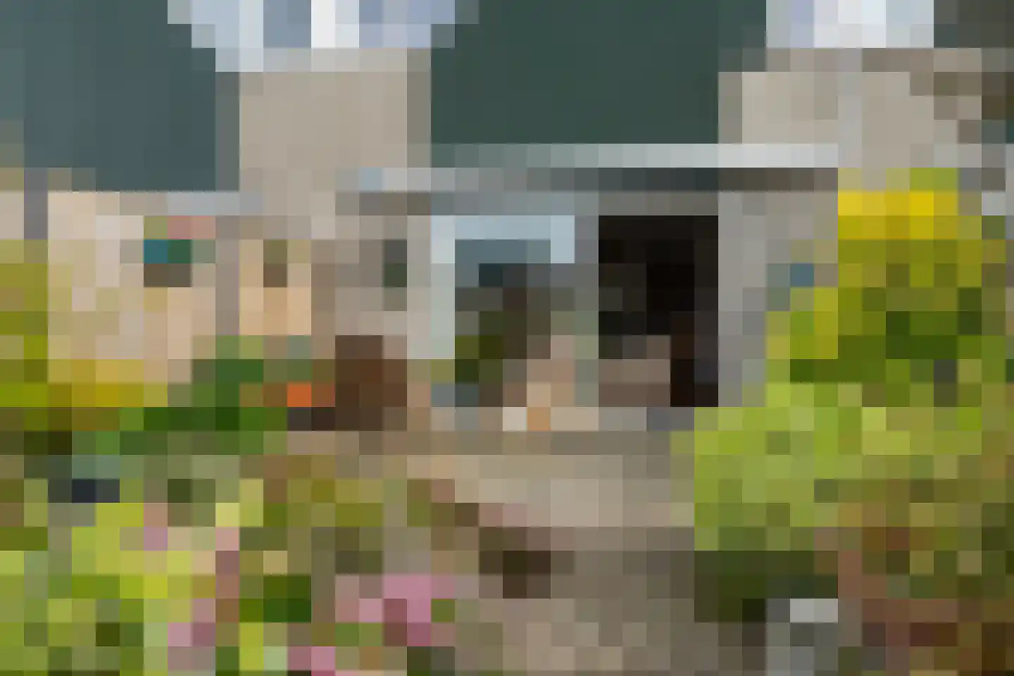 Strienemonde 31 Oud-Beijerland thumbnail 36