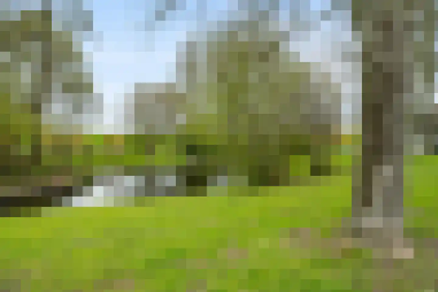 Strienemonde 31 Oud-Beijerland thumbnail 40