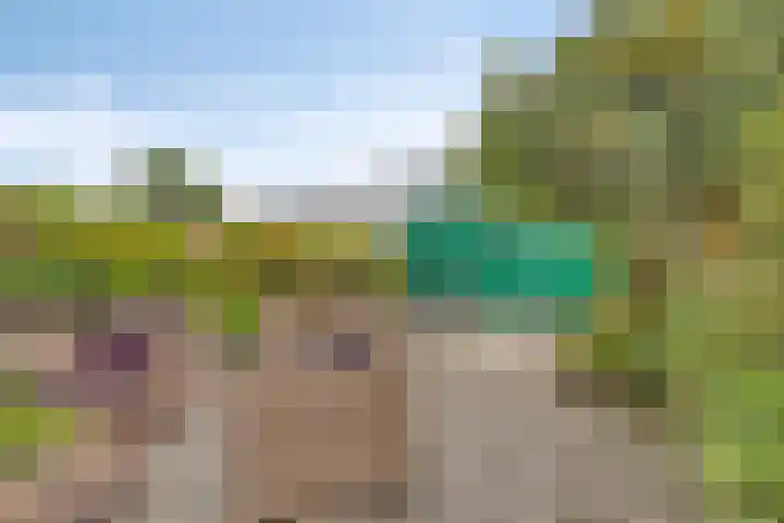 Strienemonde 44 Oud-Beijerland thumbnail 13