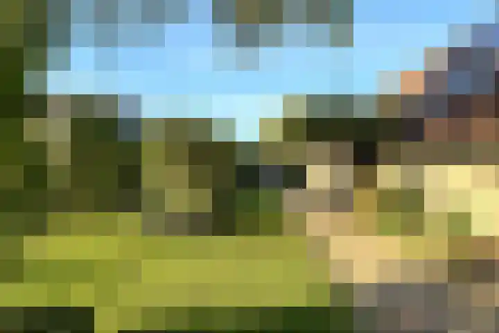Strienemonde 44 Oud-Beijerland thumbnail 28