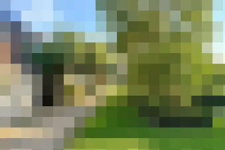 Strienemonde 44 Oud-Beijerland thumbnail 29