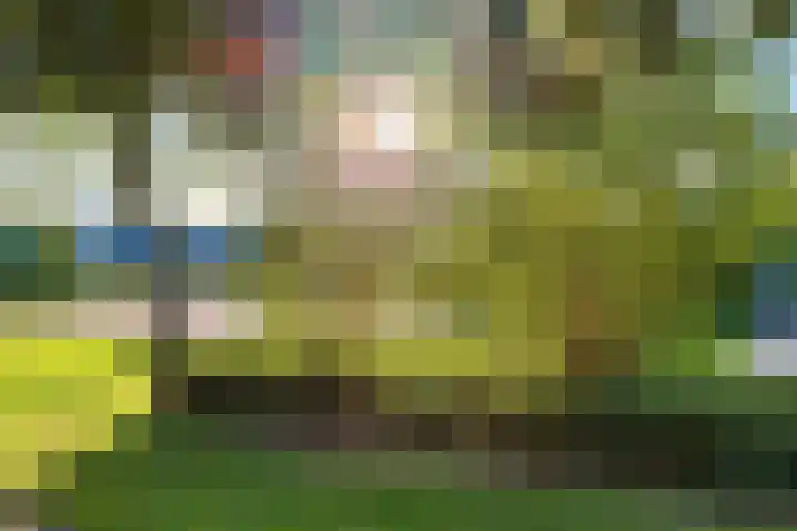 Strienemonde 44 Oud-Beijerland thumbnail 30