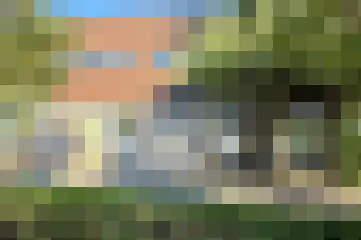 Strienemonde 44 Oud-Beijerland thumbnail 4